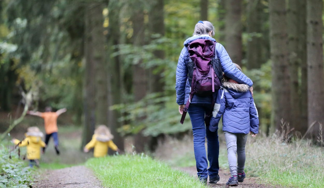 Promenad i skogen, en vuxen och fyra barn.