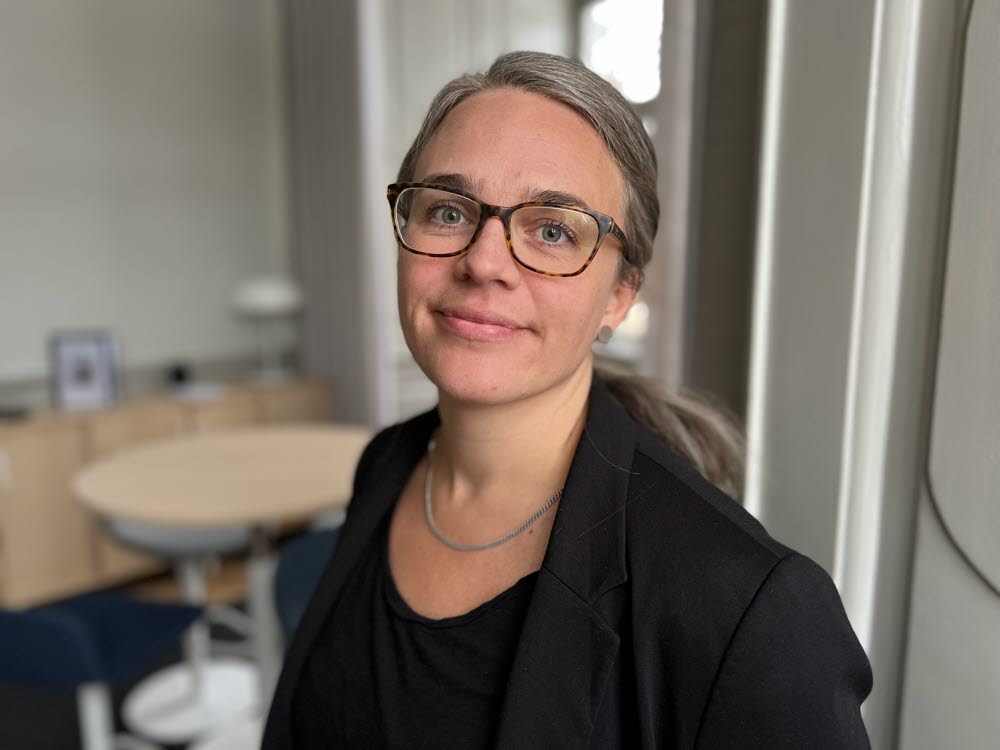 Peninha Fischer, Länsstyrelsen Gävleborg