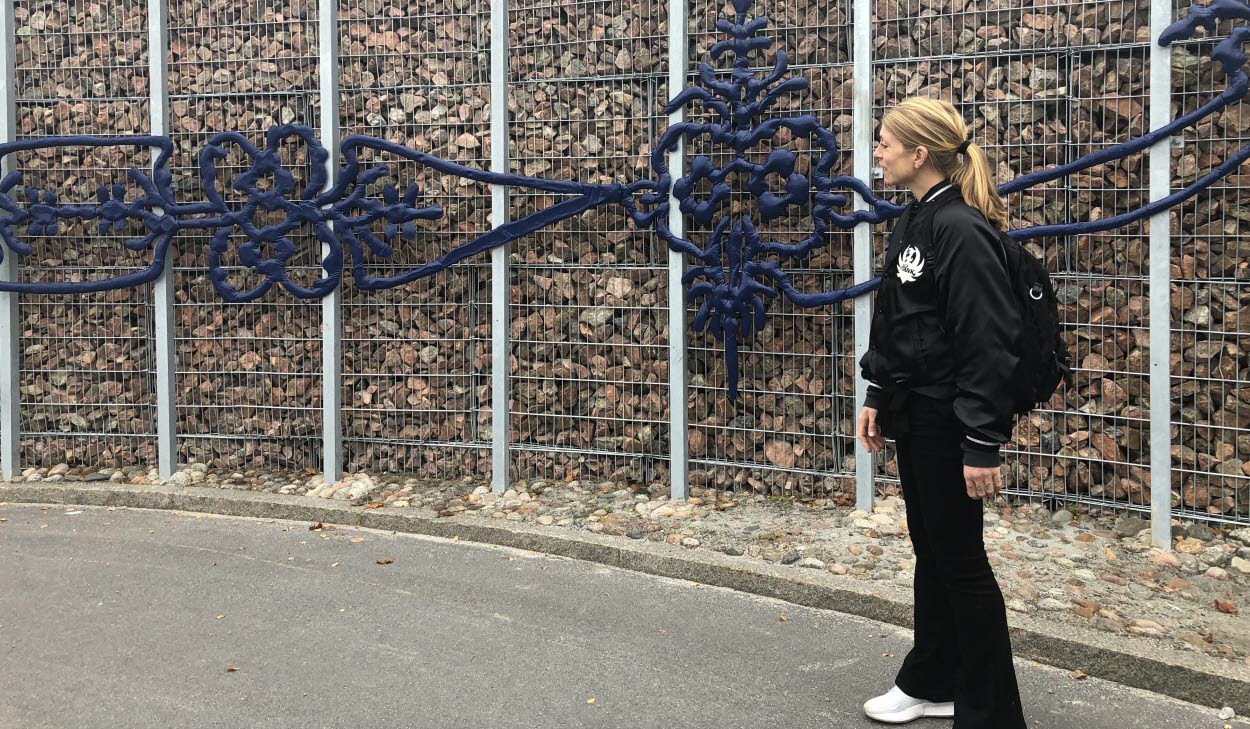 På gabionmuren under hus 11 sitter Festen, ett verk av konstnären Linda Bäckström. I relief och metalliska former väver hon samman Hälsinglands landskap, färgprakt och folkkonst till ett nutida uttryck med ett fokus på allt som finns att fira på ett sjukhus.