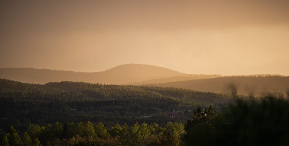 Skogsklädda kullar i kvällsljus.