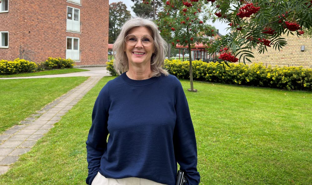 Britt-Inger Loman, programledare Program framtidens vårdinformationsstöd